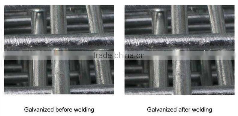 ISO9001 manufacturer chicken wire / heavy duty welded wire mesh panels