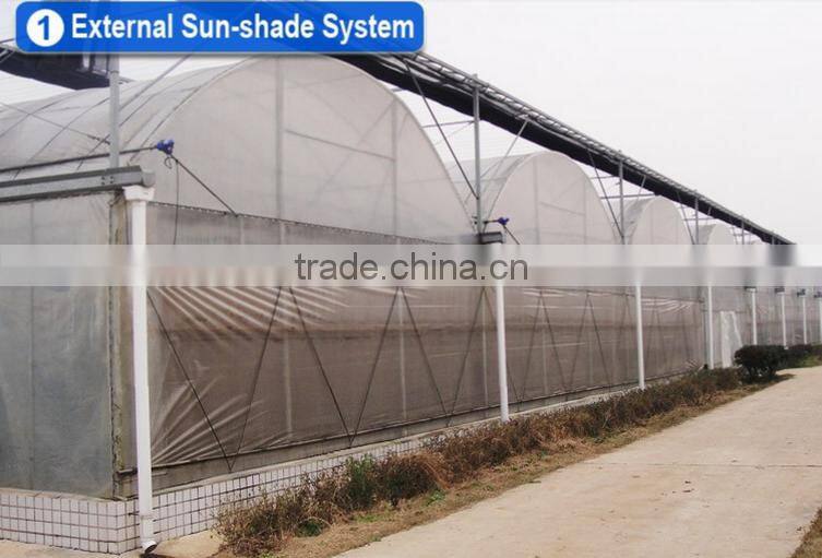 Commercial hydroponic systems for vegetable greenhouse