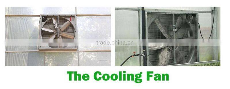 Industrail Ventilation Air Exhaust Fan for Greenhouse