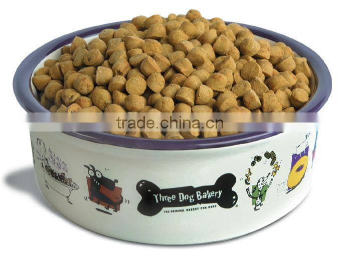 premium healthy cat food