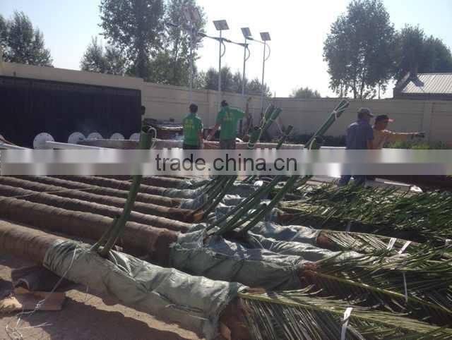 SJZJN 036 New Hot Products of 2015 Aritificial PeachTree New Design