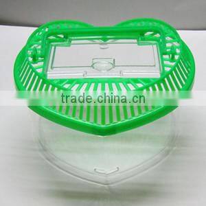 plastic heart-shaped aquarium fish tank