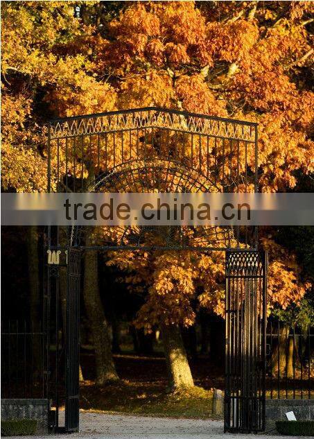 Bisini European elegant luxury grill wrought iron gate (BG90231)