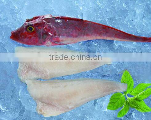 red gurnard with frozen