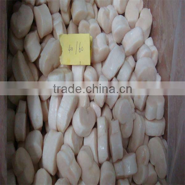 frozen sea scallops fan shell