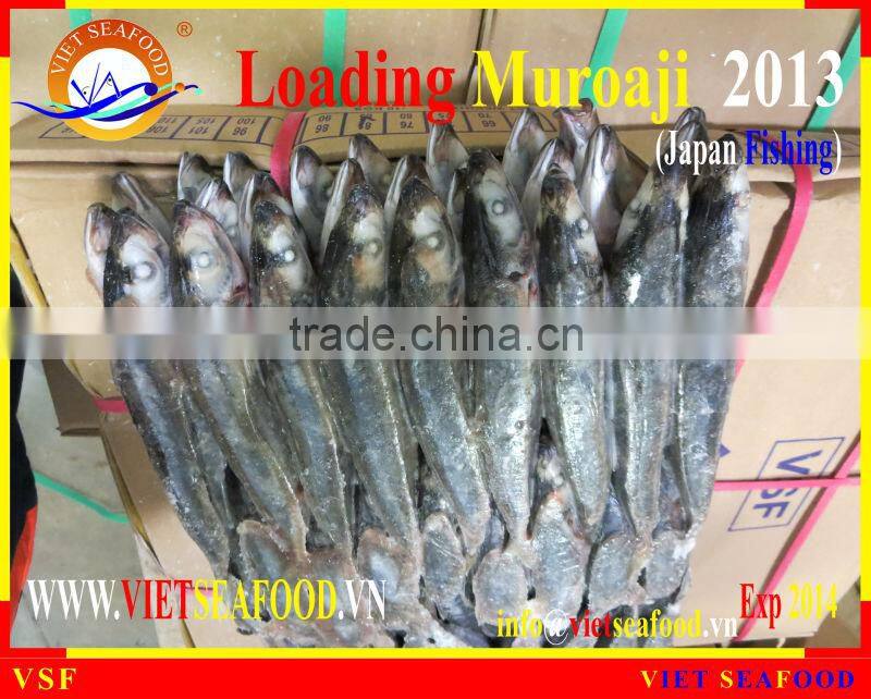 LOADING MUROAJI FOR TUNA BAIT