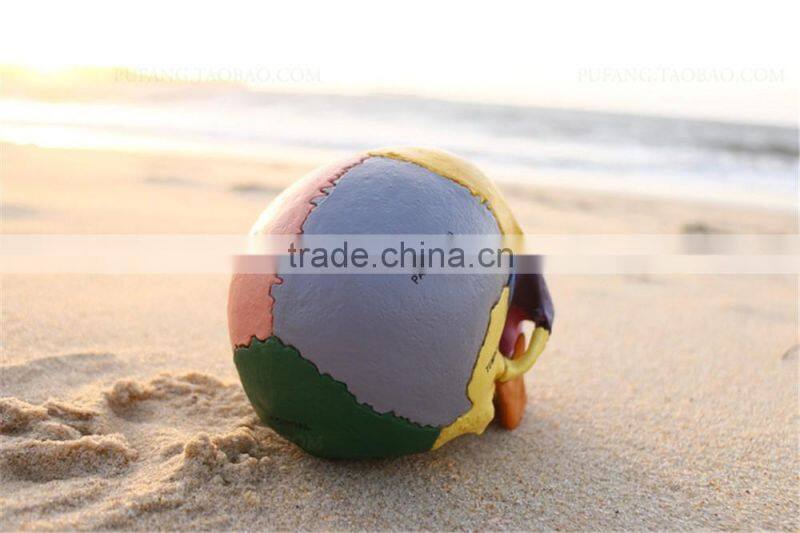 Human Skull Model of Four-dimension human anatomy/anatomia model, Skull model with Colored Bones, teaching science