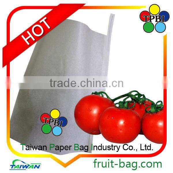 mango growing bag mango fruit branded paper bag mango growing bag