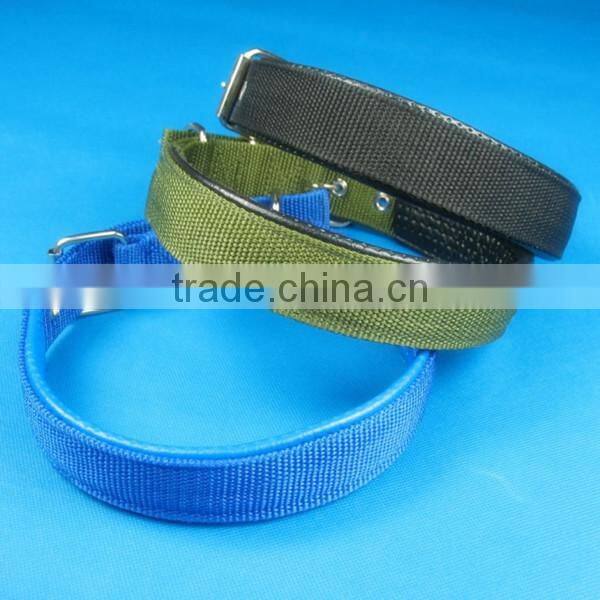 Plastic Buckle Nylon webbing pet Dog Training Collars