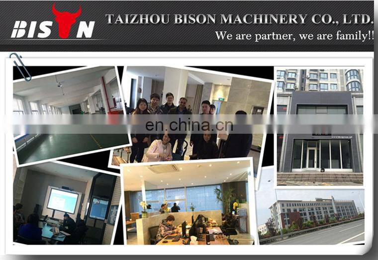 BISON(CHINA) Air-cooled 4-Stroke OEM 10 hp Water Pump Diesel Engine