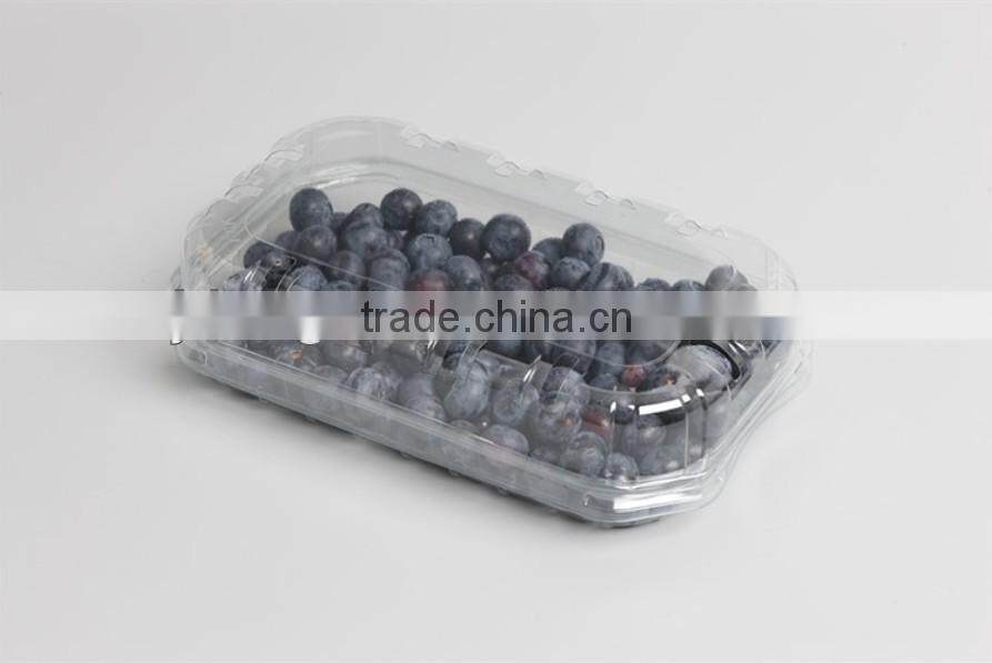 Large size rectangular disposable fruit box, clear take away strawcherry container, factory made PET food container