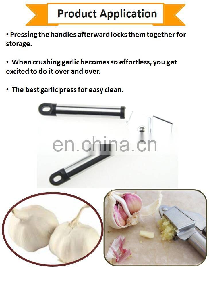 Stainless Steel Kitchen Accessory Garlic Press