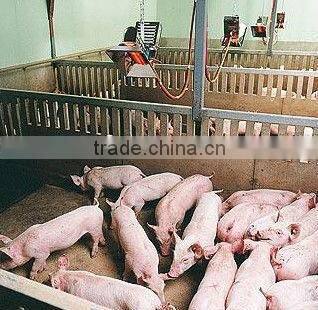 Infrared gas chicken egg brooder for poultry farming equipment THD2606