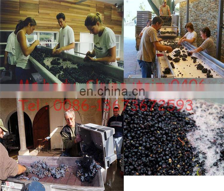 Energy-saving full automatic Grape Destemmer Machine | Grape Crusher Stemmer