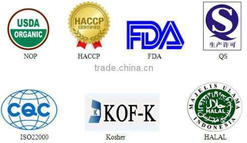 High Quality Matcha Green Tea Powder