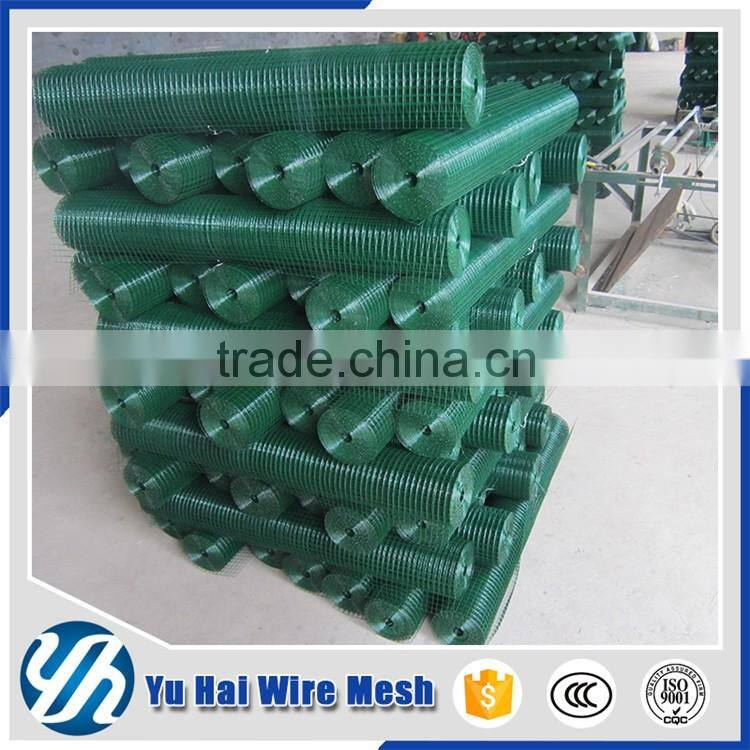 1/2 inch pvc coated welded bird cage wire mesh