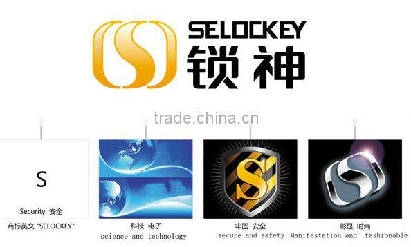 Electronic digital password lock with high security (10BM)