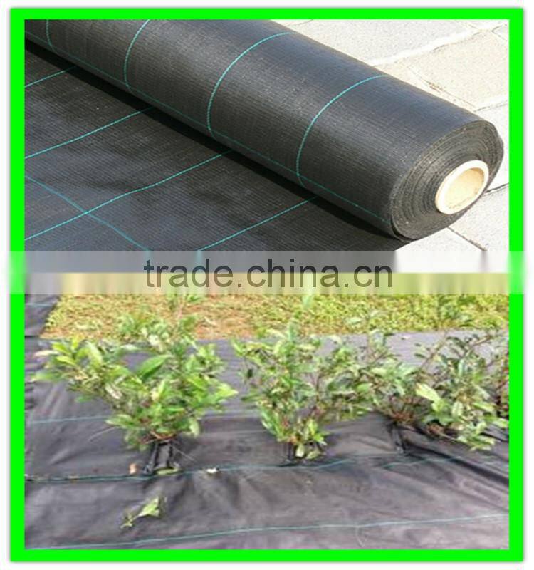 100% PP plastic ground cover mat fabric with high quality and competitive price