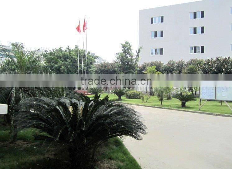 Newest LED Flashlight