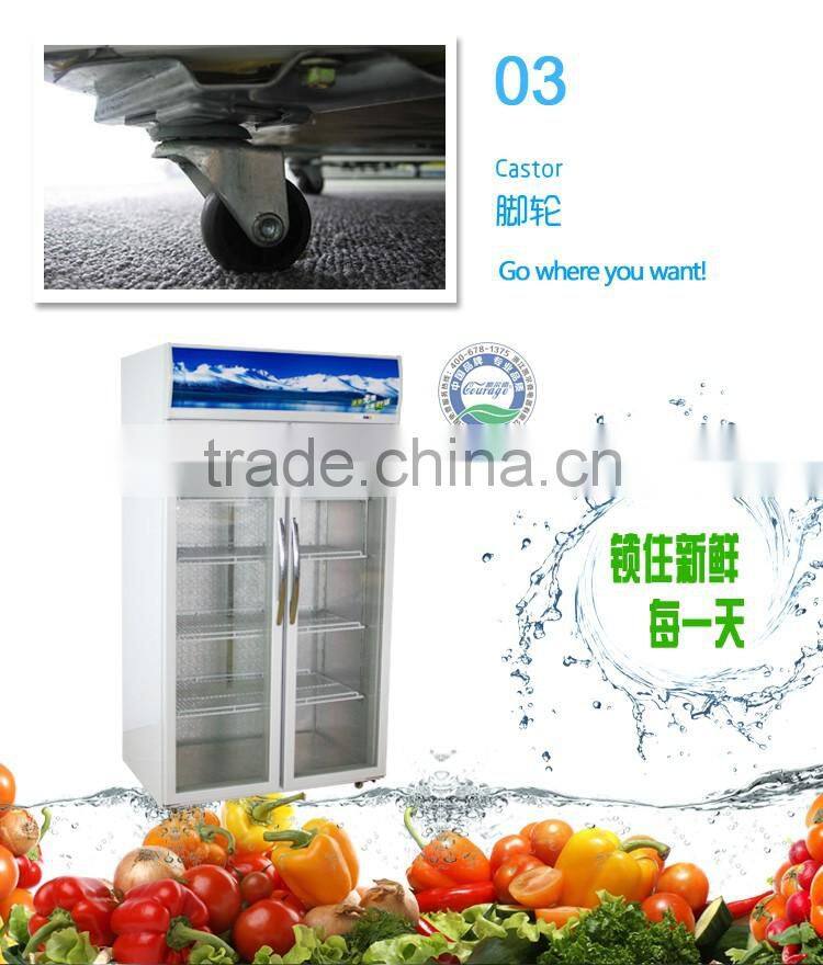 LC/S 1200K used glass door display freezers drink milk drug fridge solid door Vertical display freezer