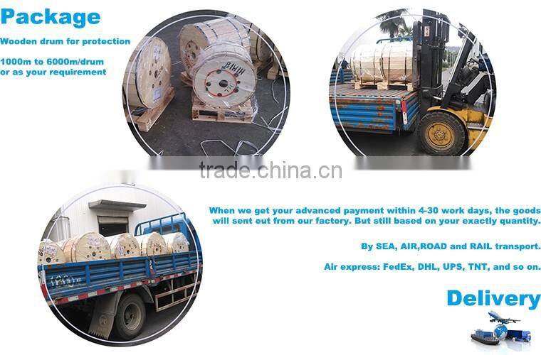 24 Core Single Mode Fiber Optic Cable