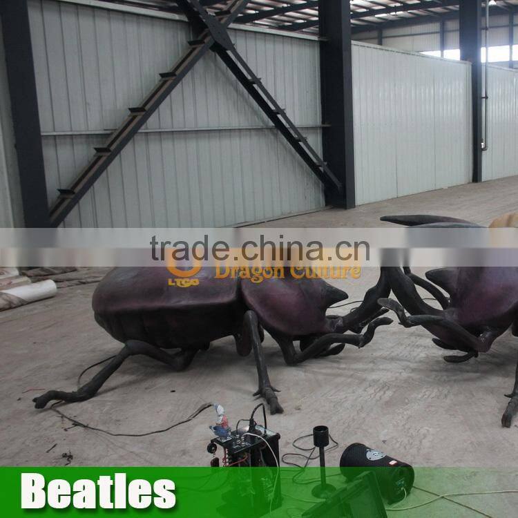 Insect Model Beatles for Sale