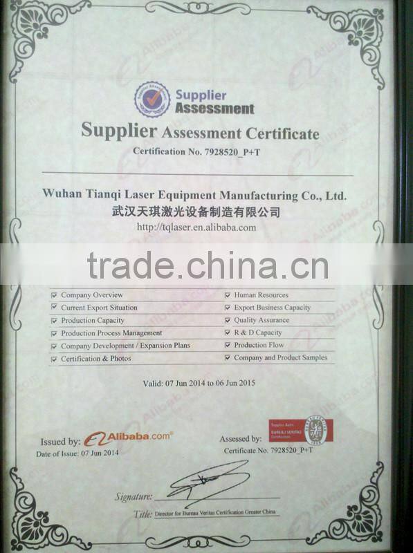 Spring Festival Sale promotion Metal Laser Cutting Machine