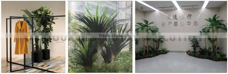 Home Decorative Artificial Bonsai Tree For Sale