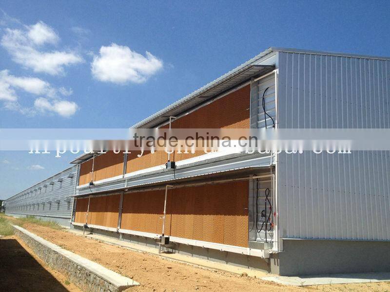 modern chicken egg poultry farm building