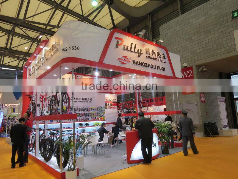 Steel Lugged Frame 28 Inch City Bicycle/Utility Bike/Vintage Bike