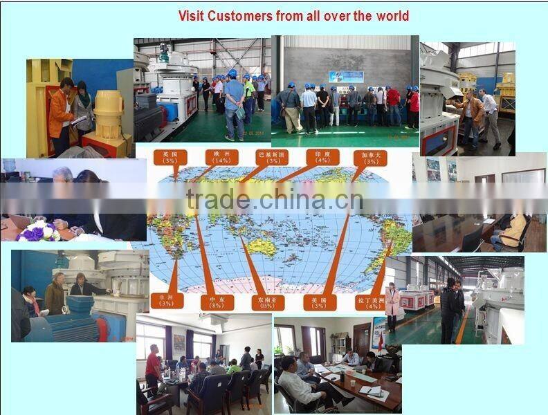 1-.15t/h Biomass energy wood pellet press machine