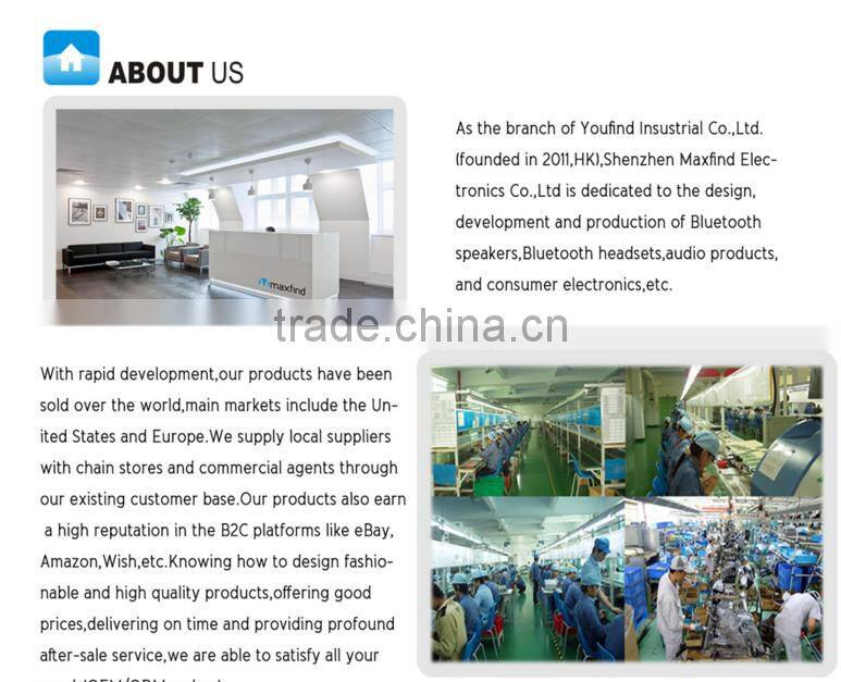 Cheap price altered electric skateboard / Removeable battery pack electric skateboard