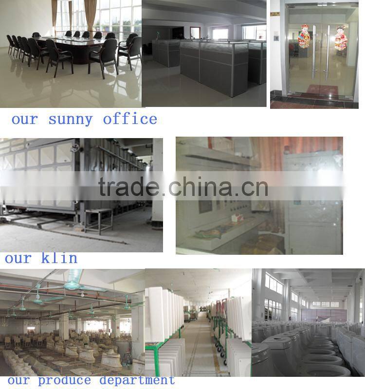 CE certificate Economic Washdown two piece toilet Bowl DT2020