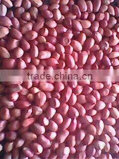 china red skin raw peanut