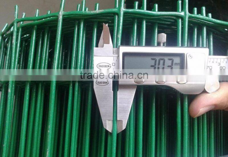 green pvc coated welded holland wire mesh