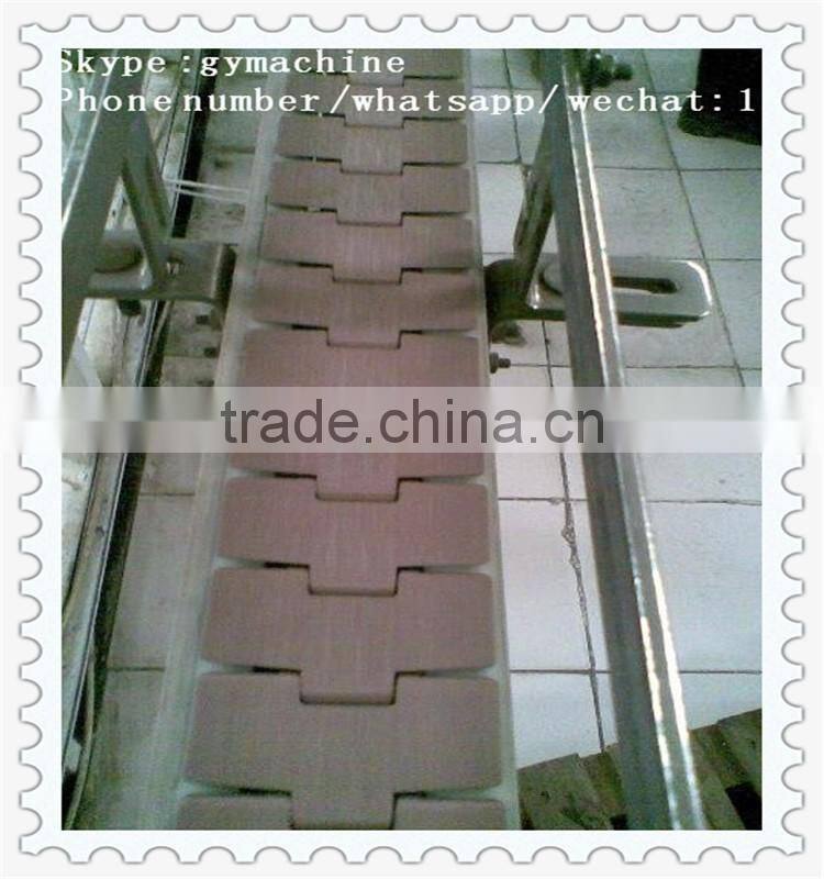 conveyor system