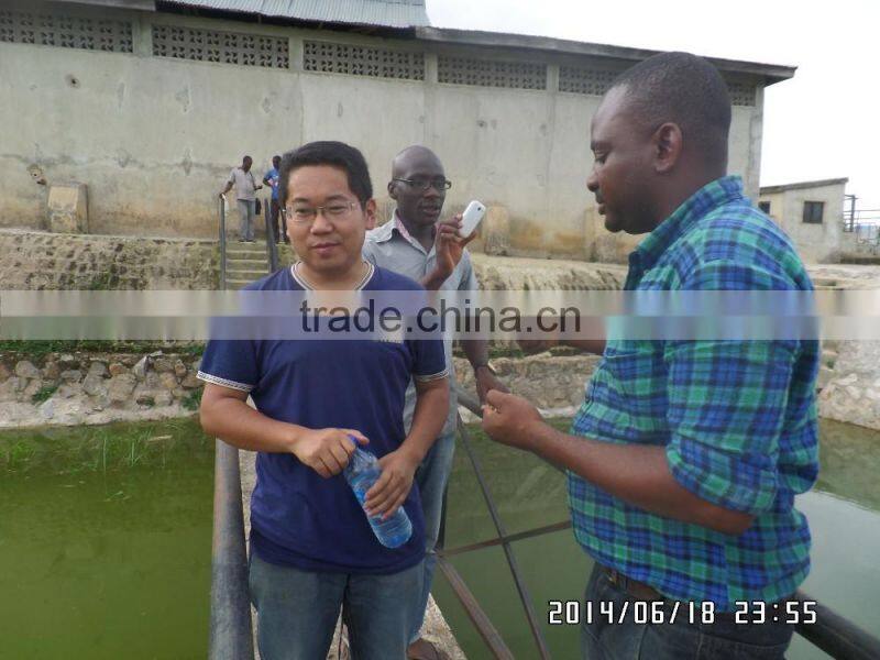 Pet food equipment of stainless steel full automatic