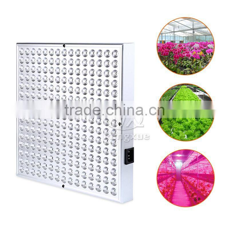 SMD 2835 Blue/Red 460Nm 660Nm Led Grow panel Light