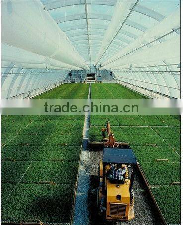 polycabonate sheet for decoration