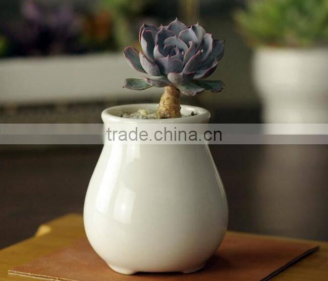 Attractive indoor glazed white ceramic small flower pots
