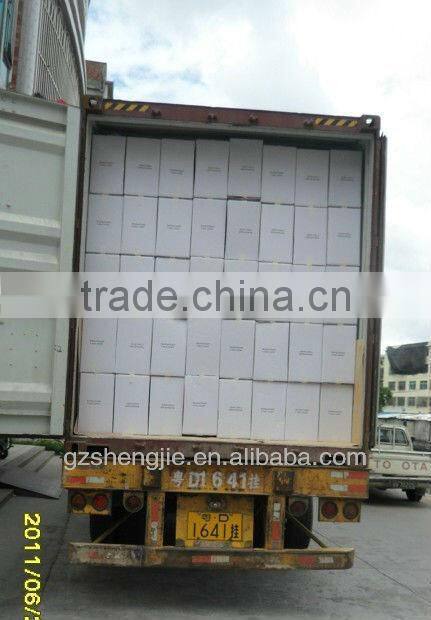 GuangZhou SJ artificial plants/artificial green sansewieria