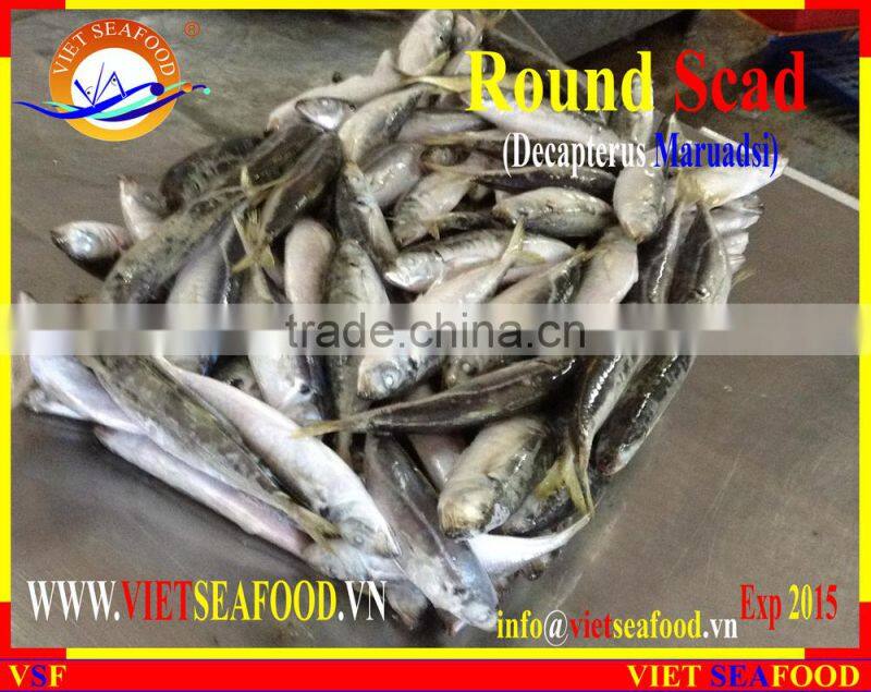 FROZEN W/R ROUND SCAD