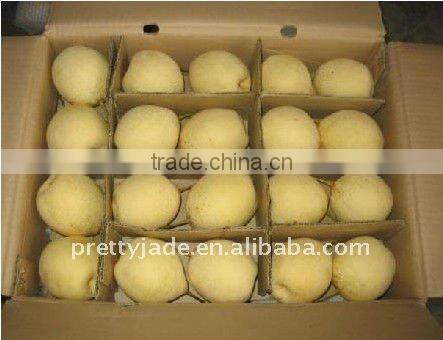 Chinese fresh yellow Ya pear