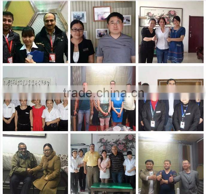 commercial quail layer cage / automatic quail cage and water system