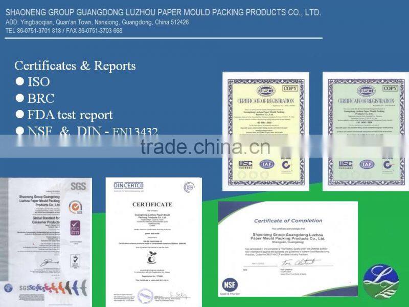 biodegradable food box