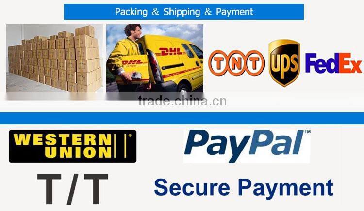 Wholesale Custom Adjustable polyester luggage belt with lock