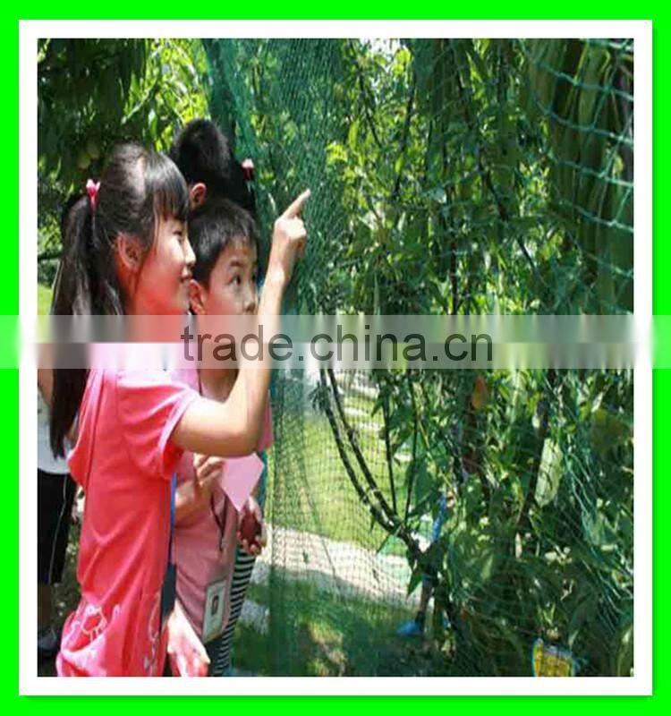 Henan Suntex professional supply PE anti bird net for garden protection