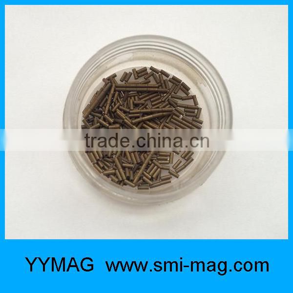 Precision technology D1x4mm D1x10mm medical magnet