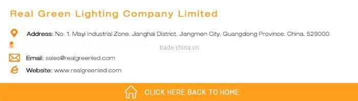 Manufacturer of 100M Amber Color Decoration LED Rope Light