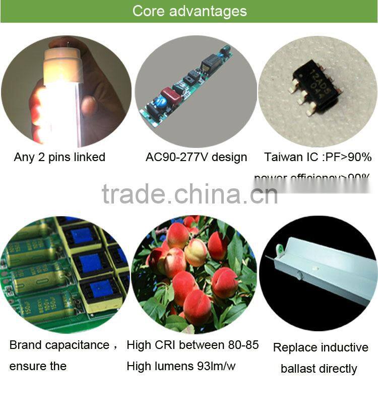 1200mm T8 led tube/Tube led t8/2ft- 8ft led tube